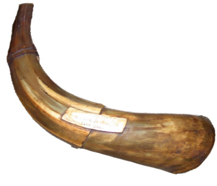 Image of Powder Horn